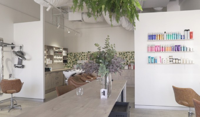 A salon space filled with light with pot plants hanging from a ceiling and hair products displayed on the wall